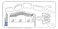 Medical Illustrator - Spine