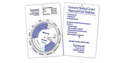 Pregnancy Wheel