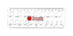 Apple Thinning Gauge