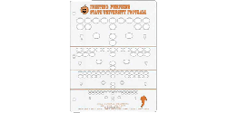 Football Template 3